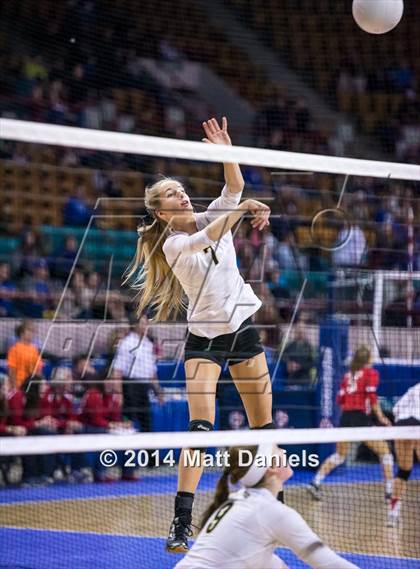 Thumbnail 2 in Montrose vs. Battle Mountain (CHSAA 4A Playoff) photogallery.