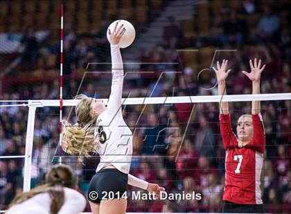 Thumbnail 1 in Montrose vs. Battle Mountain (CHSAA 4A Playoff) photogallery.