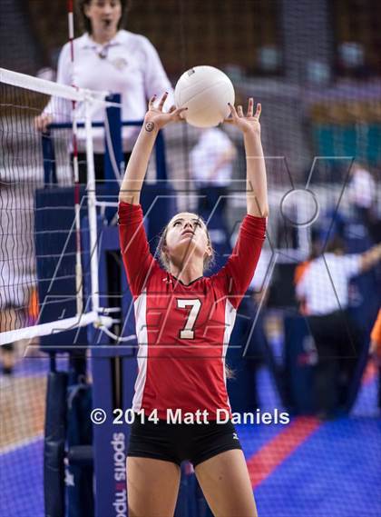 Thumbnail 2 in Montrose vs. Battle Mountain (CHSAA 4A Playoff) photogallery.
