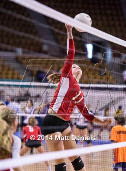 Thumbnail 3 in Montrose vs. Battle Mountain (CHSAA 4A Playoff) photogallery.