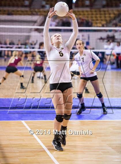 Thumbnail 1 in Montrose vs. Battle Mountain (CHSAA 4A Playoff) photogallery.