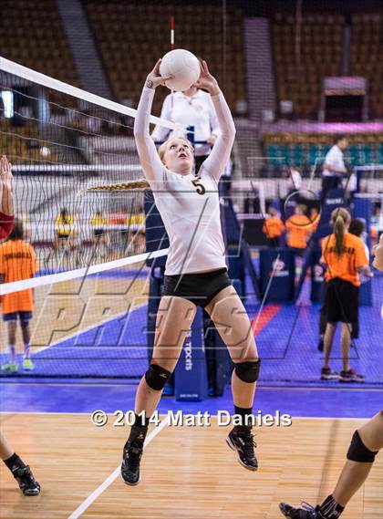 Thumbnail 2 in Montrose vs. Battle Mountain (CHSAA 4A Playoff) photogallery.