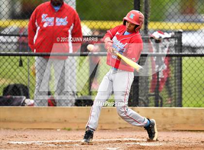 Thumbnail 1 in Kenwood @ Solorio photogallery.