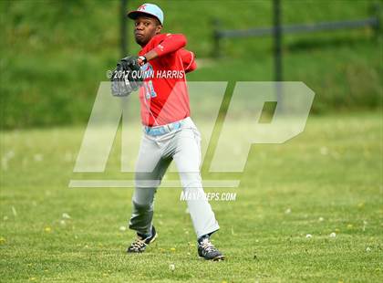 Thumbnail 1 in Kenwood @ Solorio photogallery.