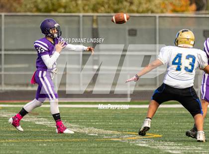 Thumbnail 1 in Wheeling @ Rolling Meadows photogallery.