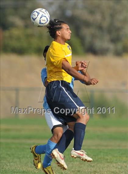 Thumbnail 1 in Burbank @ Rosemont photogallery.