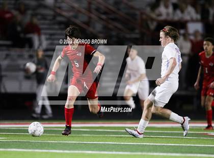 Thumbnail 2 in Lumberton @ Bridge City photogallery.