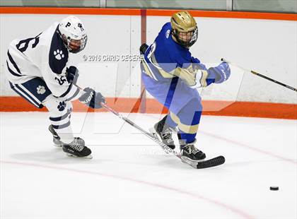 Thumbnail 3 in Webster Schroeder @ Pittsford photogallery.