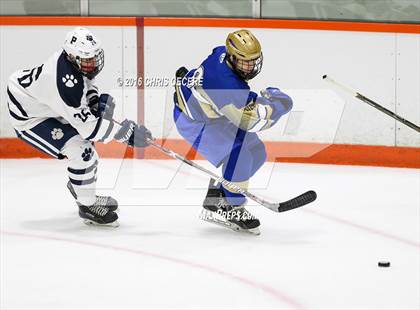 Thumbnail 1 in Webster Schroeder @ Pittsford photogallery.