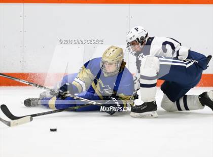Thumbnail 1 in Webster Schroeder @ Pittsford photogallery.