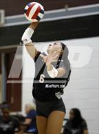 Photo from the gallery "Sunnyslope @ Hamilton"