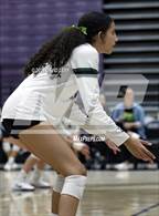 Photo from the gallery "Sunnyslope @ Hamilton"