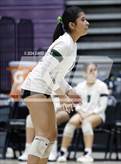 Photo from the gallery "Sunnyslope @ Hamilton"