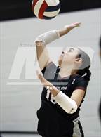 Photo from the gallery "Sunnyslope @ Hamilton"