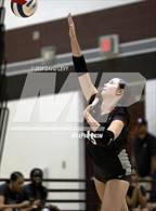 Photo from the gallery "Sunnyslope @ Hamilton"