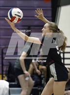 Photo from the gallery "Sunnyslope @ Hamilton"