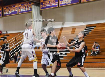 Thumbnail 3 in Lincoln @ Tokay photogallery.