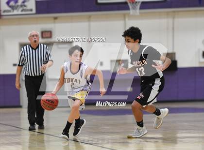 Thumbnail 2 in Lincoln @ Tokay photogallery.