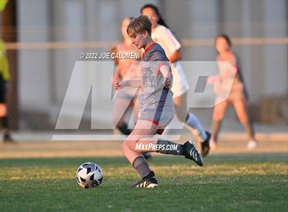 Thumbnail 3 in Lee vs Brandeis photogallery.