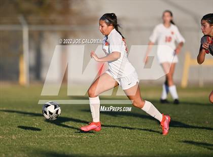 Thumbnail 1 in Lee vs Brandeis photogallery.