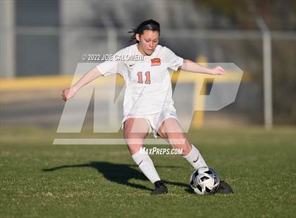 Thumbnail 2 in Lee vs Brandeis photogallery.