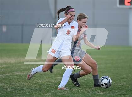 Thumbnail 3 in Lee vs Brandeis photogallery.