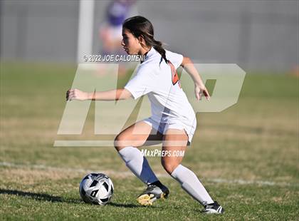 Thumbnail 2 in Lee vs Brandeis photogallery.