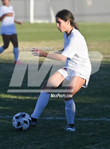 Thumbnail 3 in Lee vs Brandeis photogallery.