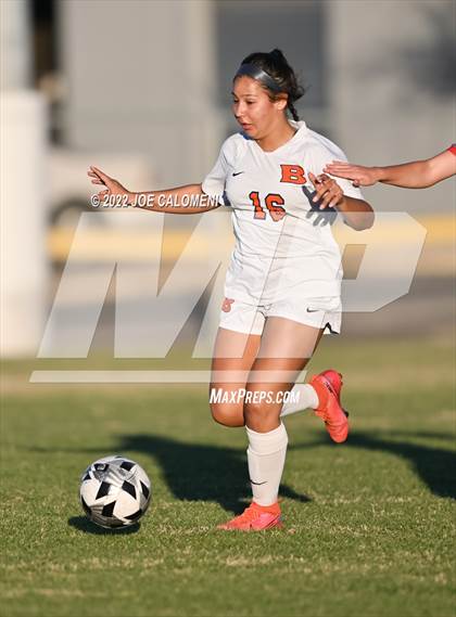 Thumbnail 1 in Lee vs Brandeis photogallery.