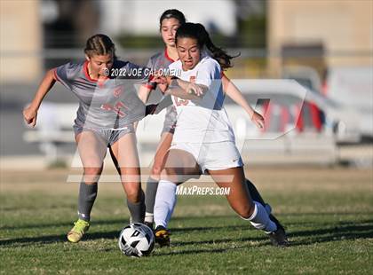 Thumbnail 2 in Lee vs Brandeis photogallery.