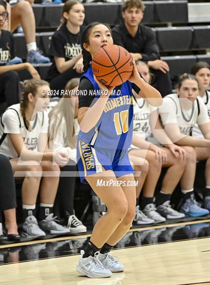 Thumbnail 2 in Homestead @ Noblesville photogallery.