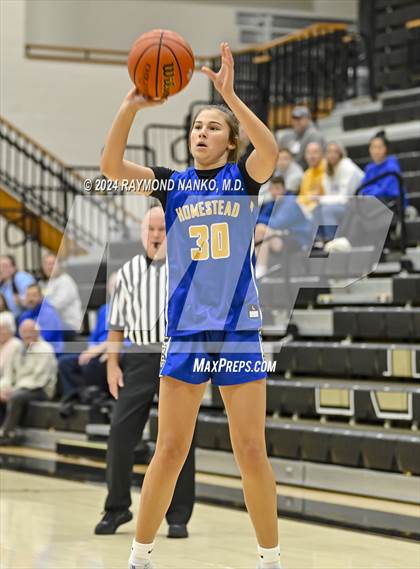 Thumbnail 3 in Homestead @ Noblesville photogallery.