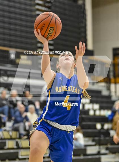 Thumbnail 2 in Homestead @ Noblesville photogallery.