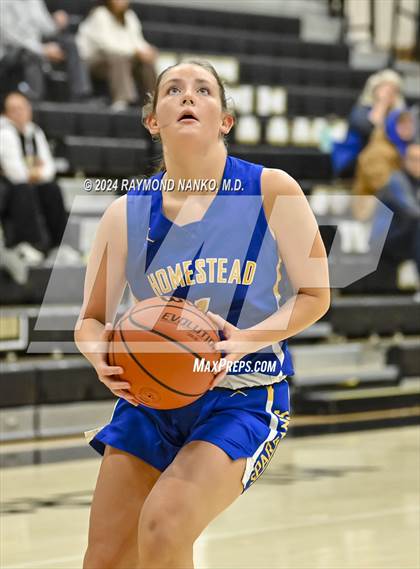 Thumbnail 3 in Homestead @ Noblesville photogallery.