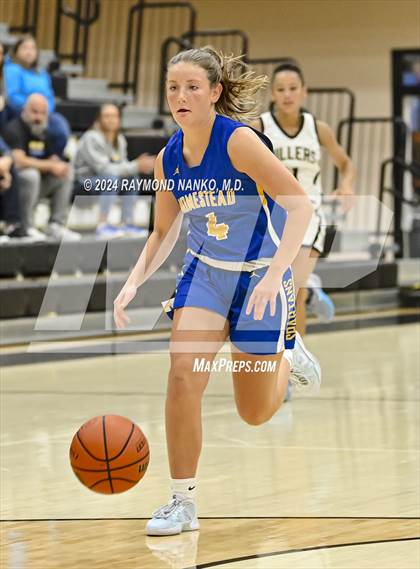 Thumbnail 1 in Homestead @ Noblesville photogallery.