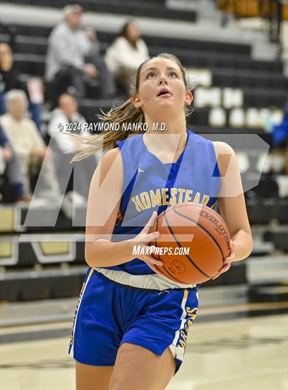 Thumbnail 2 in Homestead @ Noblesville photogallery.