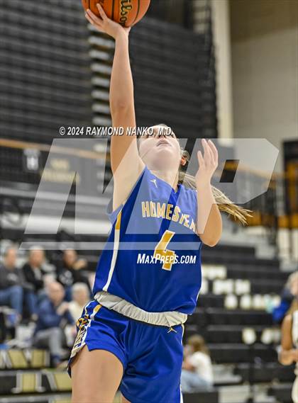 Thumbnail 3 in Homestead @ Noblesville photogallery.