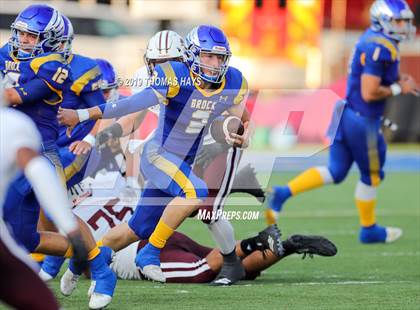 Thumbnail 2 in Brownwood @ Brock photogallery.