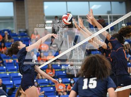 Thumbnail 2 in O'Connor @ Brandeis photogallery.