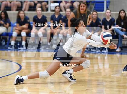 Thumbnail 2 in O'Connor @ Brandeis photogallery.