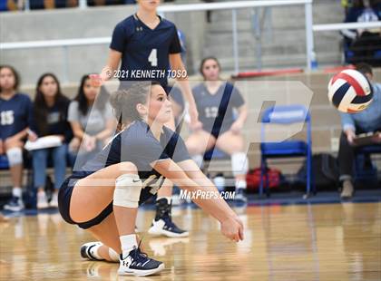 Thumbnail 2 in O'Connor @ Brandeis photogallery.