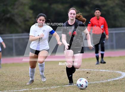 Thumbnail 3 in Lake Brantley @ East River photogallery.