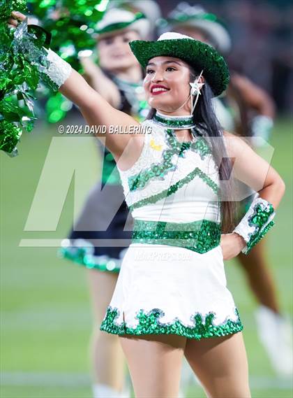 Thumbnail 2 in Marcus @ Arlington photogallery.