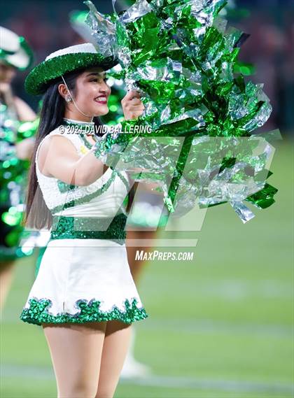 Thumbnail 2 in Marcus @ Arlington photogallery.