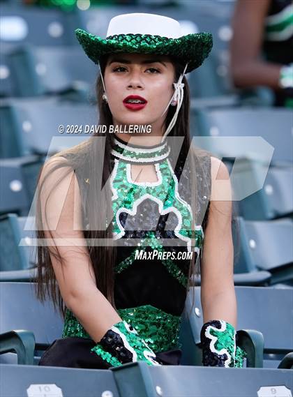 Thumbnail 3 in Marcus @ Arlington photogallery.
