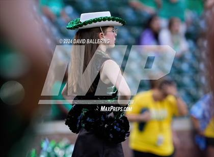 Thumbnail 2 in Marcus @ Arlington photogallery.