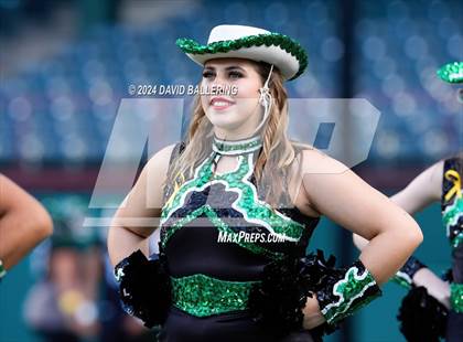 Thumbnail 3 in Marcus @ Arlington photogallery.