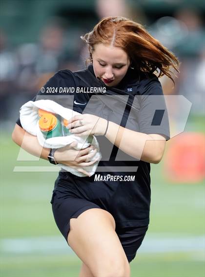 Thumbnail 1 in Marcus @ Arlington photogallery.