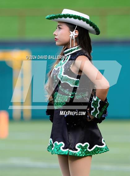 Thumbnail 2 in Marcus @ Arlington photogallery.