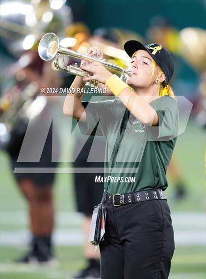 Thumbnail 3 in Marcus @ Arlington photogallery.